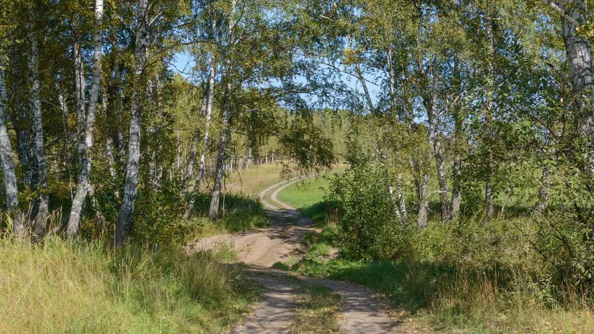 Kuidas luua tugevaid peresuhteid